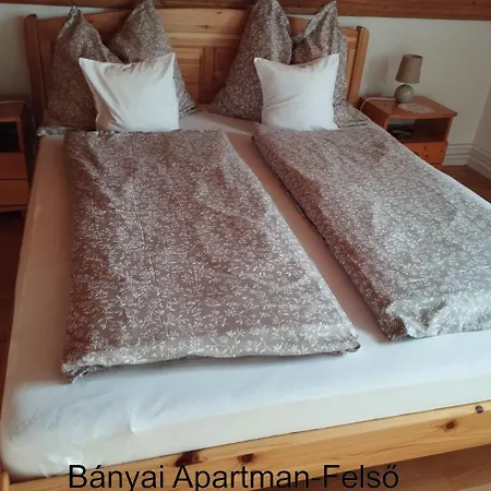 Banyai Lejlighed Gyula